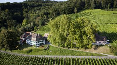 Anwesen und Geschichte